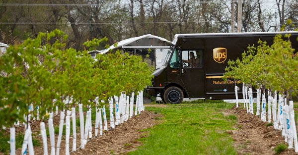 重要包裹跟踪？UPS国际快递查询帮您解忧