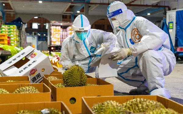 深圳机场国际货运进港阴凉库正式启用，能“装”更多生鲜冷链货物