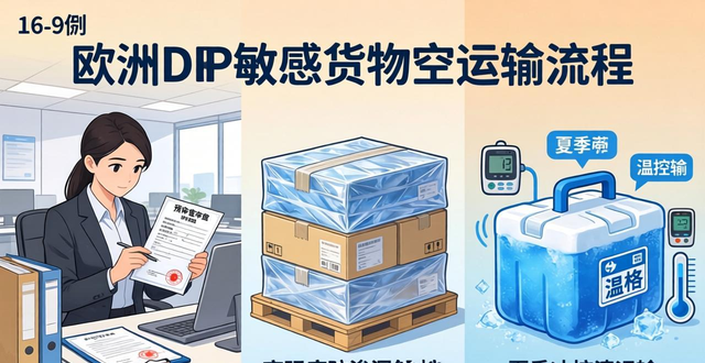 欧洲DDP敏感货空运 | 带电/化妆品/奢侈品 | 专业合规清关